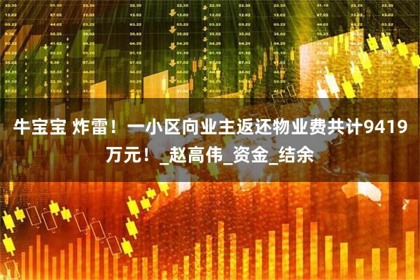 牛宝宝 炸雷！一小区向业主返还物业费共计9419万元！_赵高伟_资金_结余